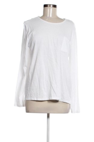 Γυναικεία μπλούζα Blue Motion, Μέγεθος L, Χρώμα Λευκό, Τιμή 11,99 €