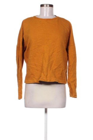 Bluză de femei Colin's, Mărime M, Culoare Multicolor, Preț 51,00 Lei