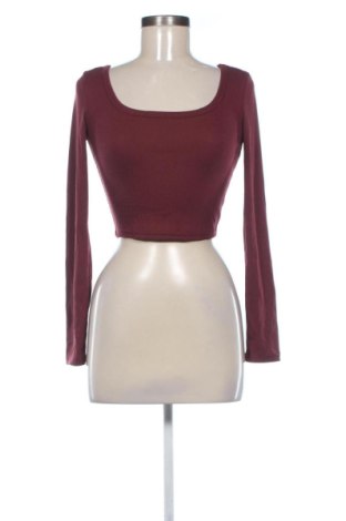 Damen Shirt DAZY, Größe XS, Farbe Braun, Preis 7,99 €