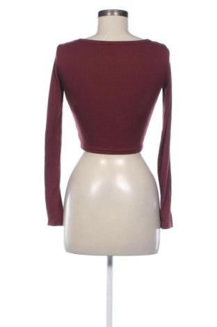 Damen Shirt DAZY, Größe XS, Farbe Braun, Preis 7,99 €