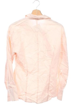 Γυναικεία μπλούζα Gina Tricot, Μέγεθος S, Χρώμα Ρόζ , Τιμή 12,99 €