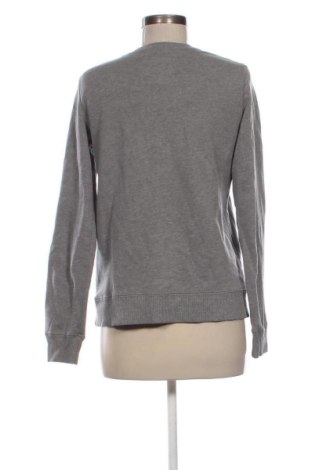 Damen Shirt Hollister, Größe S, Farbe Grau, Preis 17,00 €