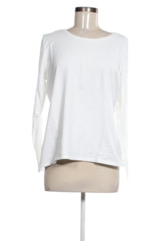 Дамска блуза Miller & Monroe, Размер XL, Цвят Бял, Цена 17,00 €