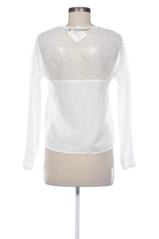 Damen Shirt Silvian Heach, Größe S, Farbe Weiß, Preis 31,99 €