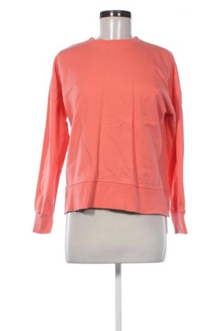 Bluză de femei Sinsay, Mărime L, Culoare Roz, Preț 51,00 Lei