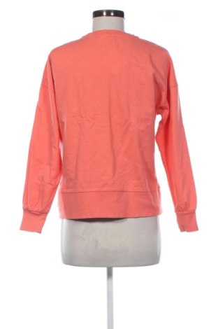 Bluză de femei Sinsay, Mărime L, Culoare Roz, Preț 51,00 Lei