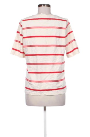 Bluzka damska Steilmann, Rozmiar M, Kolor Kolorowy, Cena 51,99 zł