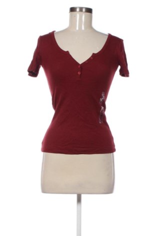 Damen Shirt Terranova, Größe S, Farbe Rot, Preis € 12,99