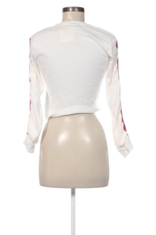 Dámska blúza Topshop, Veľkosť S, Farba Viacfarebná, Cena  9,95 €