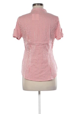 Dámska blúza Yessica, Veľkosť S, Farba Viacfarebná, Cena  10,00 €