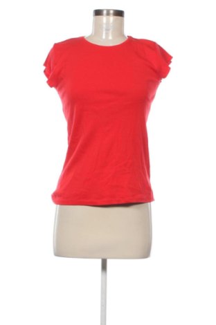 Damen Shirt Zara, Größe S, Farbe Rot, Preis 10,00 €