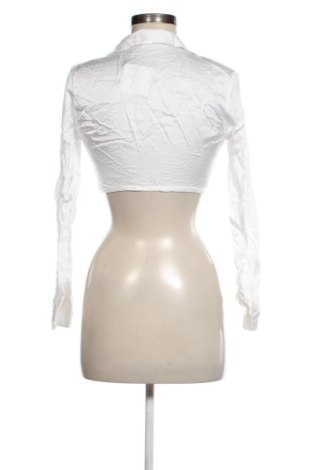 Damen Strickjacke Zara, Größe S, Farbe Weiß, Preis 17,99 €