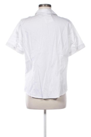 Γυναικείο πουκάμισο Collection L, Μέγεθος L, Χρώμα Λευκό, Τιμή 13,00 €