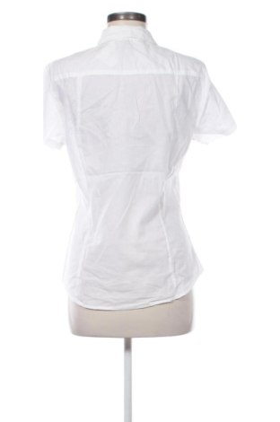 Női ing Colours Of The World, Méret L, Szín Fehér, Ár 5 311 Ft