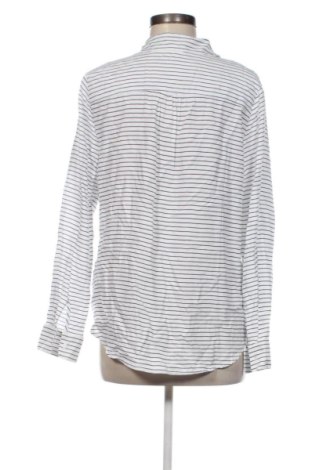 Γυναικείο πουκάμισο Laura Torelli, Μέγεθος M, Χρώμα Πολύχρωμο, Τιμή 15,99 €