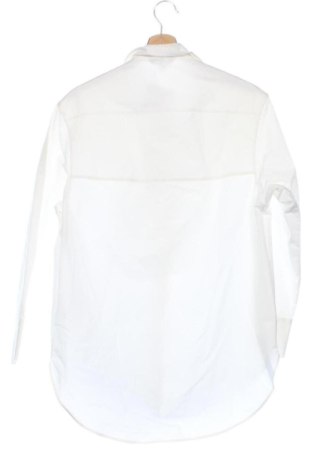 Damska koszula Massimo Dutti, Rozmiar XS, Kolor Biały, Cena 358,72 zł