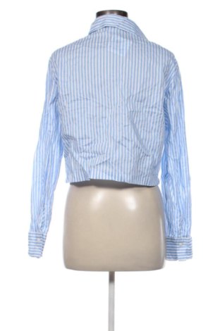 Damenbluse Terranova, Größe L, Farbe Mehrfarbig, Preis € 16,99