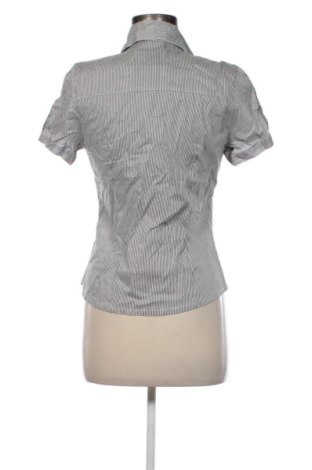 Damenbluse Unbranded, Größe L, Farbe Mehrfarbig, Preis 16,99 €