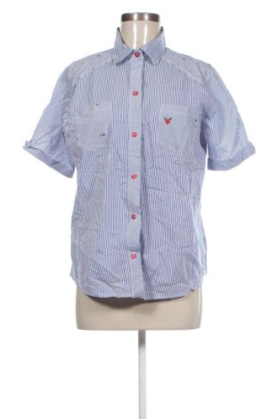 Damenbluse Unbranded, Größe L, Farbe Mehrfarbig, Preis € 16,99