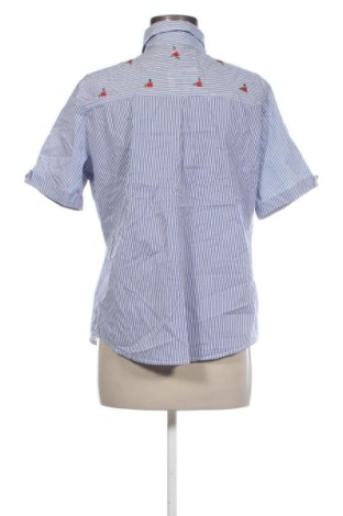 Damenbluse Unbranded, Größe L, Farbe Mehrfarbig, Preis € 16,99