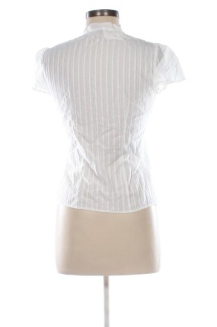 Damenbluse Walter Voulaz, Größe M, Farbe Ecru, Preis 70,01 €