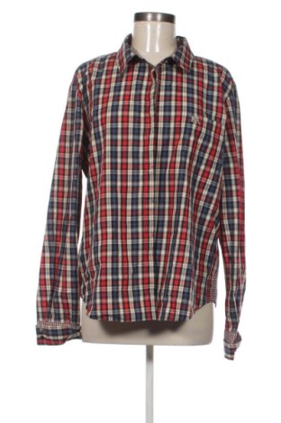 Damenbluse Zara, Größe XL, Farbe Mehrfarbig, Preis € 18,99