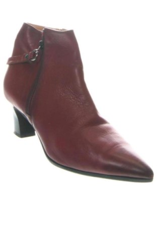 Damen Stiefeletten Lloyd, Größe 39, Farbe Rot, Preis 163,00 €