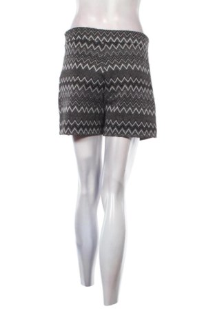 Damskie szorty Piazza Italia, Rozmiar L, Kolor Kolorowy, Cena 51,99 zł