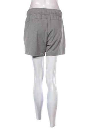Dámske kraťasy  Sports Performance by Tchibo, Veľkosť XL, Farba Sivá, Cena  11,95 €