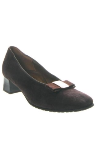 Obuwie damskie HASSIA, Rozmiar 38, Kolor Brązowy, Cena 557,28 zł