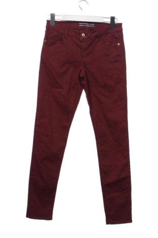 Damenhose Massimo Dutti, Größe S, Farbe Rot, Preis 32,00 €