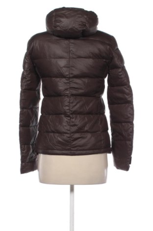 Damenjacke Dack's, Größe S, Farbe Braun, Preis € 59,99