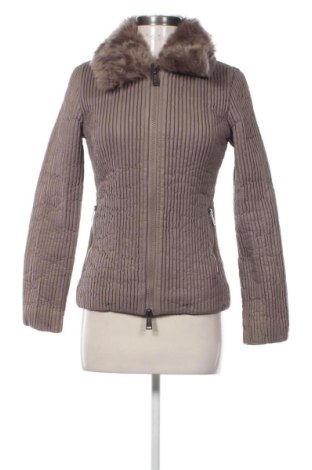 Damenjacke Silvian Heach, Größe S, Farbe Braun, Preis 59,99 €