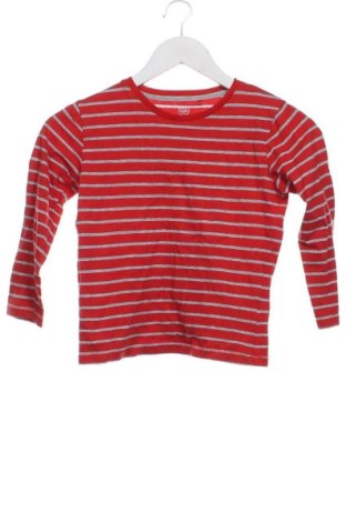 Детска блуза Coolclub, Размер 5-6y/ 116-122 см, Цвят Многоцветен, Цена 5,60 €