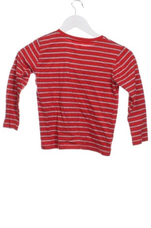 Детска блуза Coolclub, Размер 5-6y/ 116-122 см, Цвят Многоцветен, Цена 5,60 €