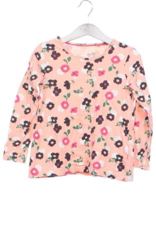 Детска блуза Lupilu, Размер 4-5y/ 110-116 см, Цвят Многоцветен, Цена 6,13 €