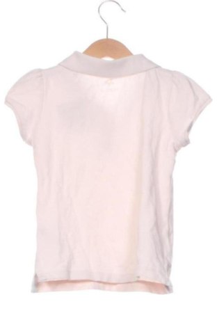 Kinder Shirt Lupilu, Größe 2-3m/ 56-62 cm, Farbe Rosa, Preis 5,60 €