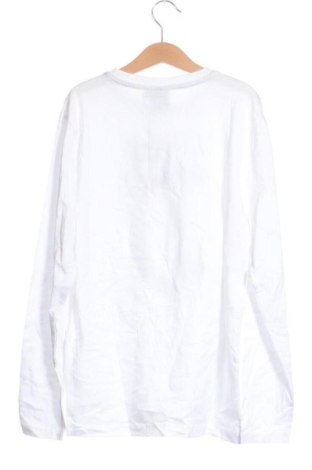 Detská blúzka  Unbranded, Veľkosť 11-12y/ 152-158 cm, Farba Viacfarebná, Cena  10,95 €