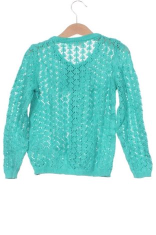 Kinder Strickjacke Lupilu, Größe 4-5y/ 110-116 cm, Farbe Grün, Preis € 18,99