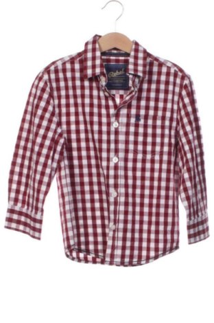 Детска риза Rebel, Размер 5-6y/ 116-122 см, Цвят Многоцветен, Цена 5,76 €