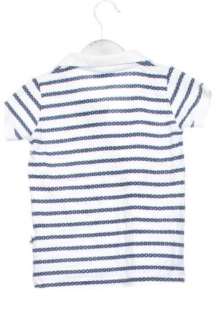 Detské tričko Bimbus, Veľkosť 2-3m/ 56-62 cm, Farba Viacfarebná, Cena  6,95 €
