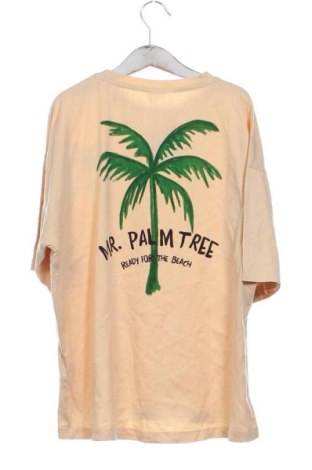 Tricou pentru copii Zara, Mărime 10-11y/ 146-152 cm, Culoare Maro, Preț 20,85 Lei