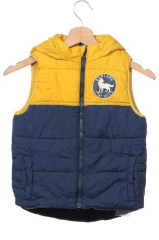 Dětská vesta  Unbranded, Velikost 6-7y/ 122-128 cm, Barva Vícebarevné, Cena  319,00 Kč