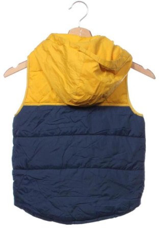 Dětská vesta  Unbranded, Velikost 6-7y/ 122-128 cm, Barva Vícebarevné, Cena  319,00 Kč