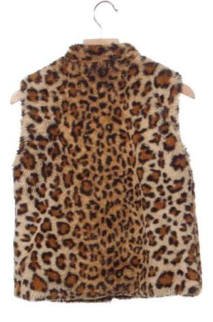 Detská vesta  Unbranded, Veľkosť 5-6y/ 116-122 cm, Farba Viacfarebná, Cena  11,00 €