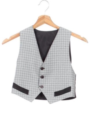 Vestă pentru copii Unbranded, Mărime 5-6y/ 116-122 cm, Culoare Multicolor, Preț 55,91 Lei