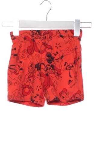 Детски къс панталон Adidas, Размер 18-24m/ 86-98 см, Цвят Оранжев, Цена 14,31 €