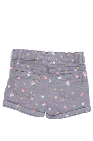 Детски къс панталон LC Waikiki, Размер 12-18m/ 80-86 см, Цвят Многоцветен, Цена 7,00 €