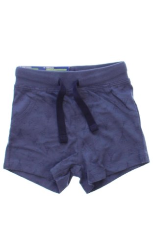 Kinder Shorts Lupilu, Größe 3-6m/ 62-68 cm, Farbe Mehrfarbig, Preis 11,70 €