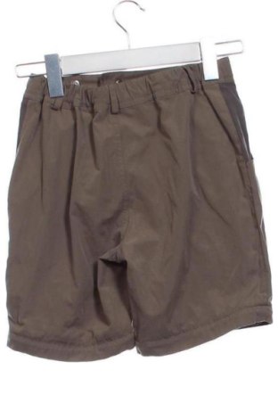 Kinder Shorts TCM, Größe 10-11y/ 146-152 cm, Farbe Grün, Preis € 7,00
